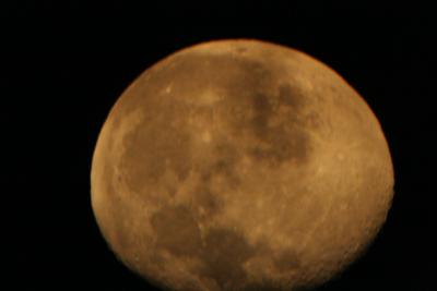 img_7255.jpg